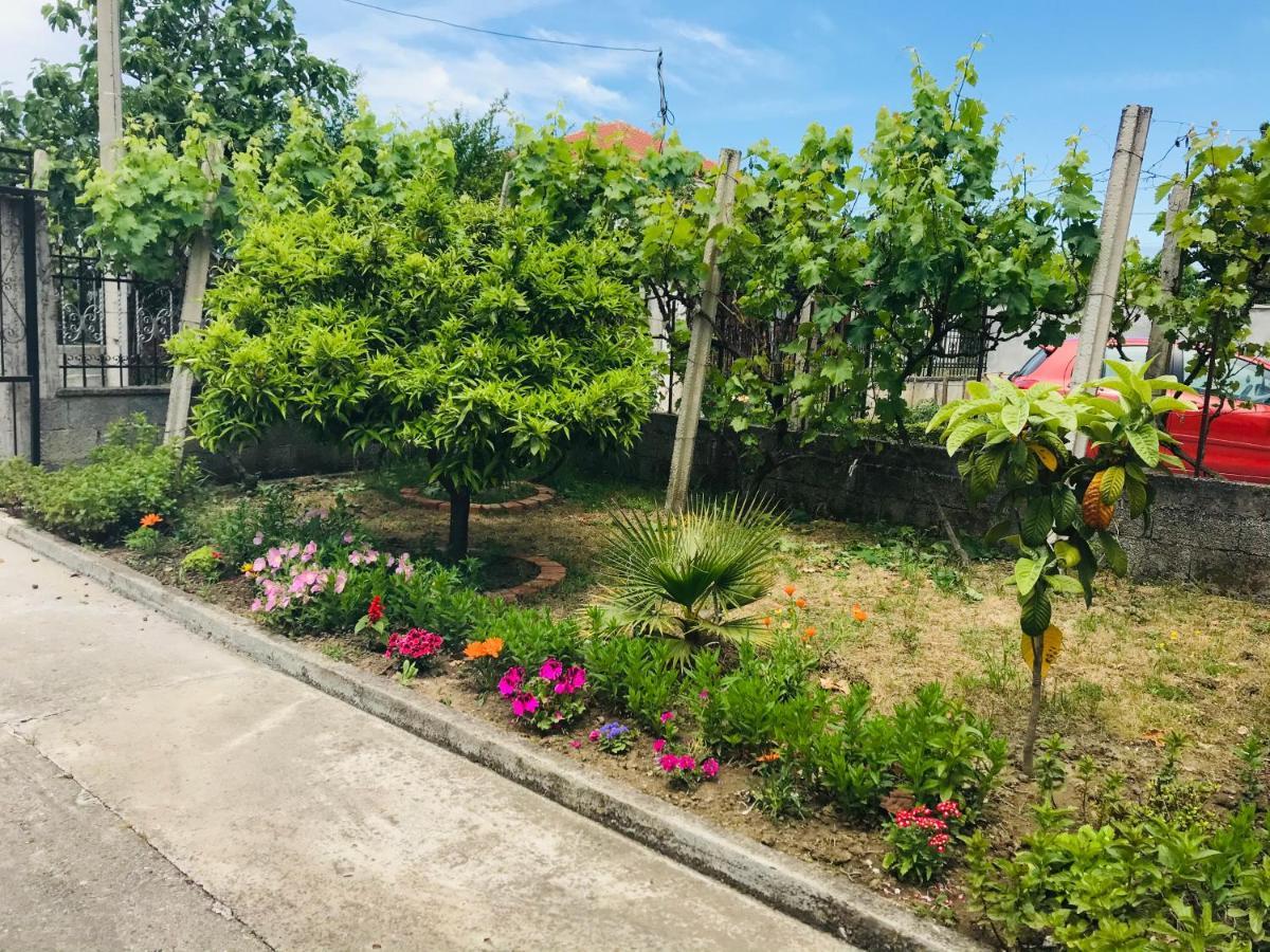 Villa Ajla دراس المظهر الخارجي الصورة
